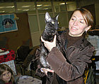 Blackmore Cornelian Cornish Rex Cat