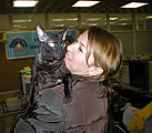 Blackmore Cornelian Cornish Rex Cat